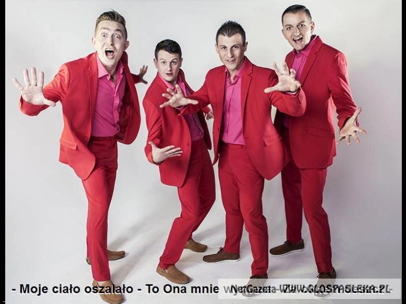 DISCO POLO w Parlamencie!