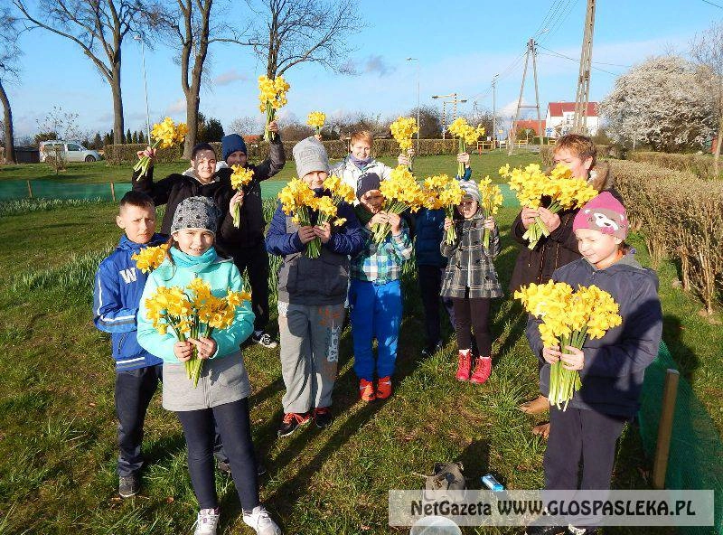 Pola Nadziei 2015 - podsumowanie akcji
