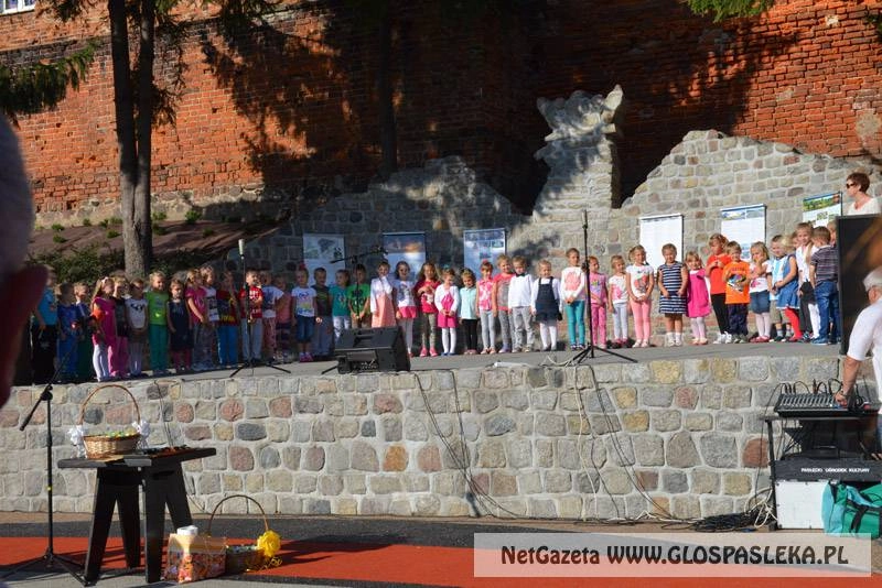 Dzień Dziecka na placu Tysiąclecia