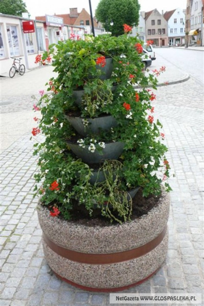 Koniec z kradzieżami gminnych nasadzeń kwiatów