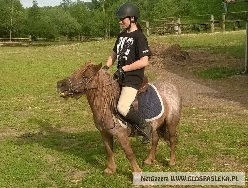 Zaproszenie na festyn do Wakarowa