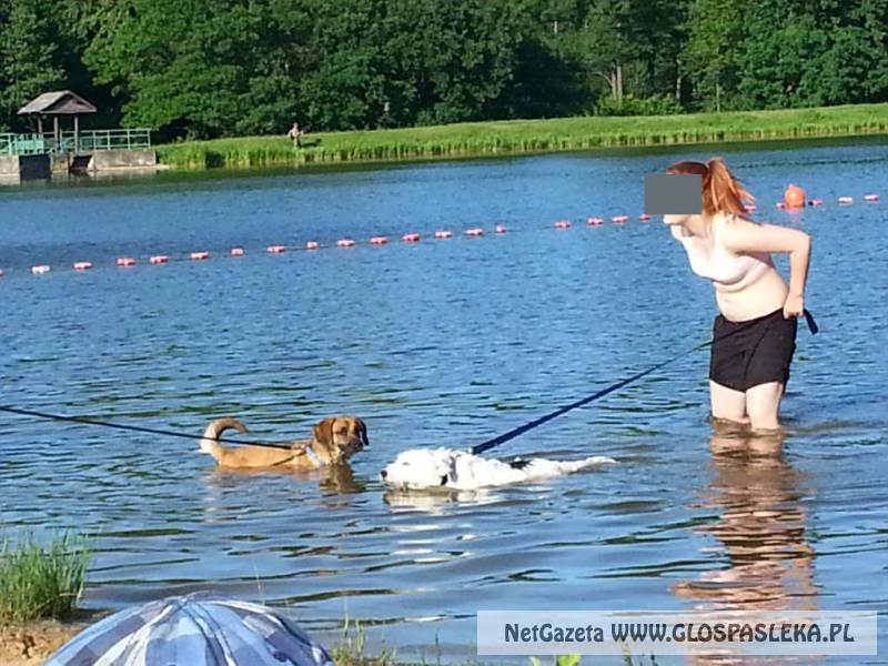 Listy - Kogo dotyczy zakaz?