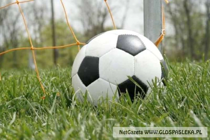 Terminy spotkań Żurawia 