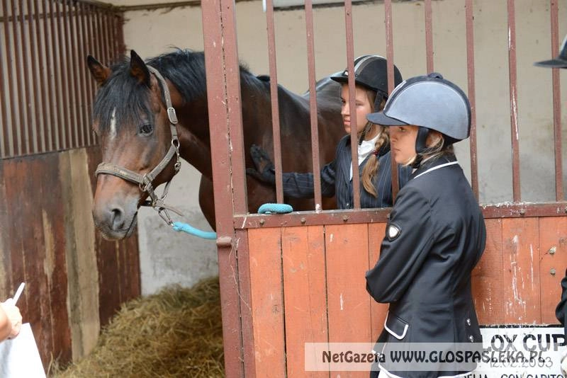 Amazonki z Nenii zdobywały brązową odznakę