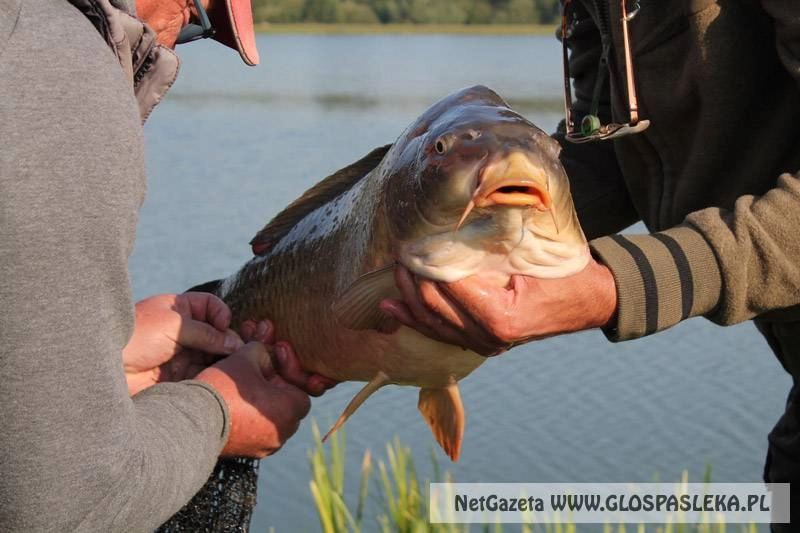 III Grand Prix Zakrzewka II