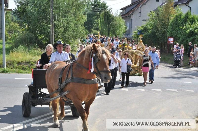 Święto plonów w Godkowie