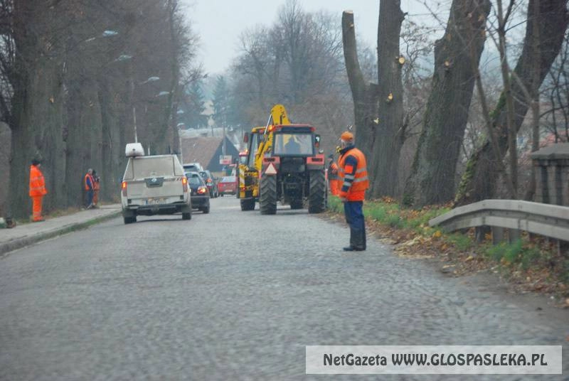 Petycja w sprawie Zamkowej