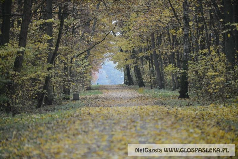 Jesień idzie przez park