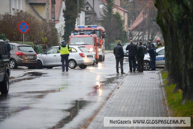 Feralne skrzyżowanie