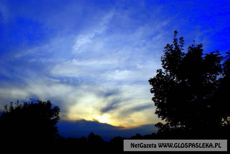 Uczeń „Jedynki” wyróżniony w wojewódzkim konkursie fotograficznym