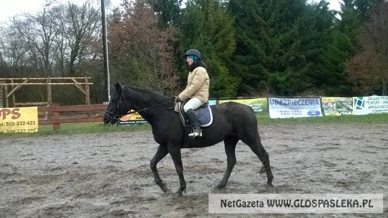 Jeździmy w sobotę i poniedziałek