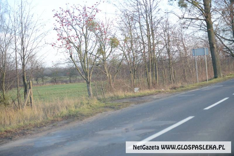 Rozmowy z deweloperami