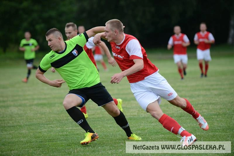 Wygrany sparing Polonii