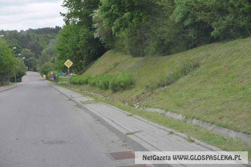 Przetarg na utrzymanie zieleni 