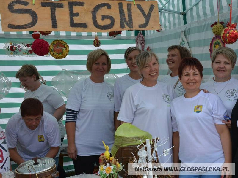 Wyniki II konkursu na realizację zadań publicznych