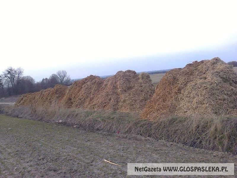 Droga do Skolimowa – list