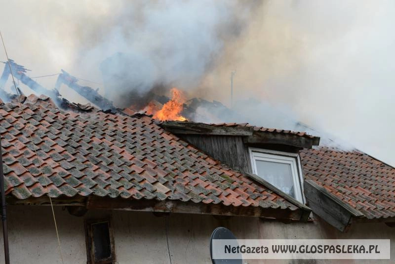 Apel do ludzi dobrej woli