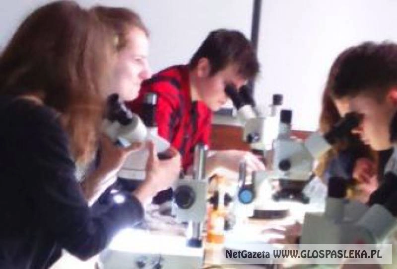 Uczniowie ZS w Parku Krajobrazowym Wysoczyzny Elbląskiej