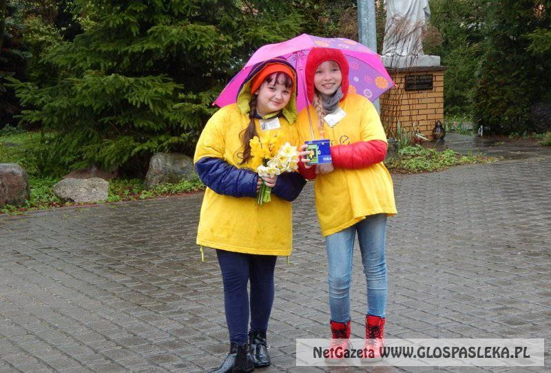 Żonkilowe pola nadziei 2016