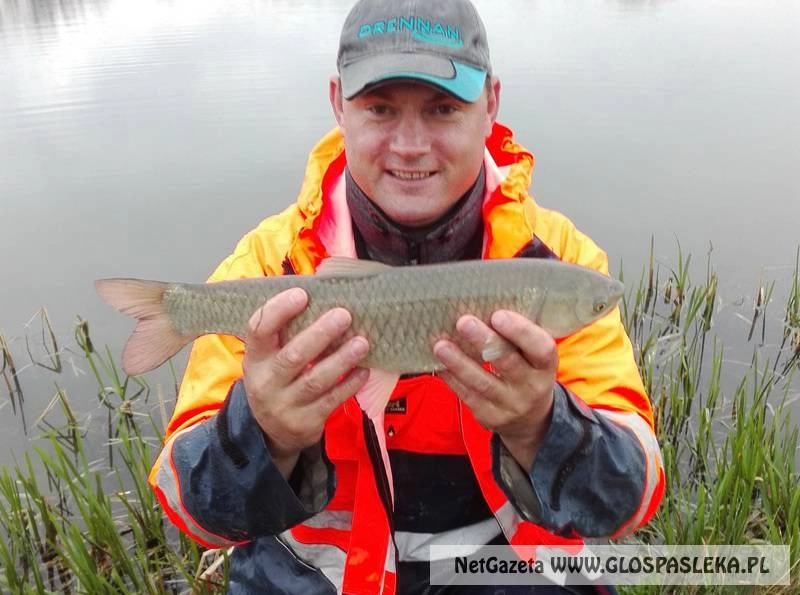 Pierwsze ryby z Zakrzewka II