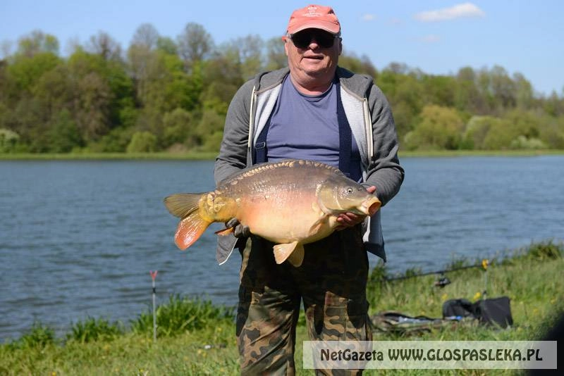 Pierwszy karp Pana Henryka