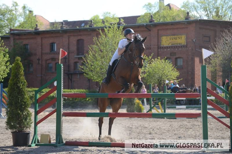 Amazonki Nenii skakały w Braniewie