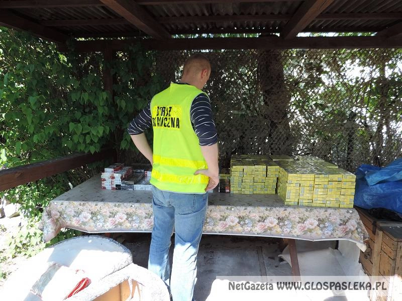 Papierosy bez akcyzy