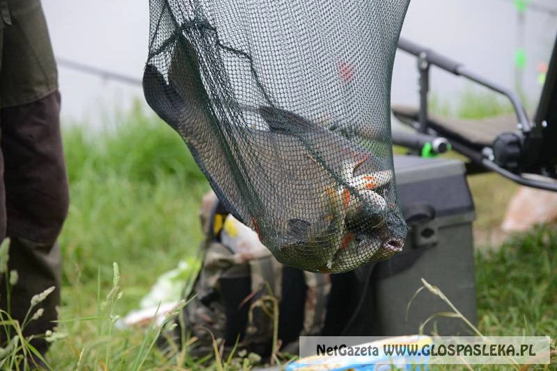 Zaproszenie na Grand Prix Zakrzewka II