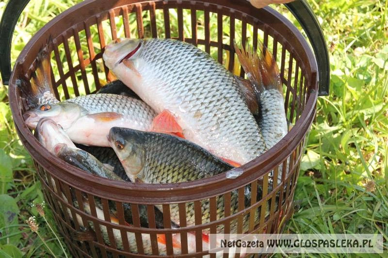 II Grand Prix Zakrzewka II