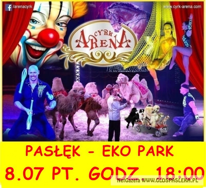 Cyrk Arena zaprasza