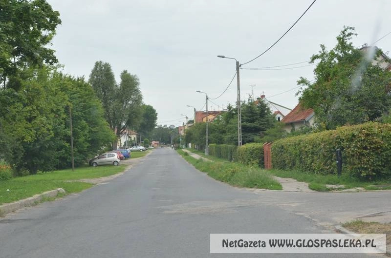 Polna jeszcze w tym roku