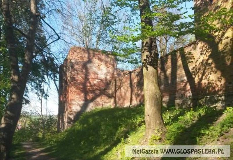 Badania wokół zamku