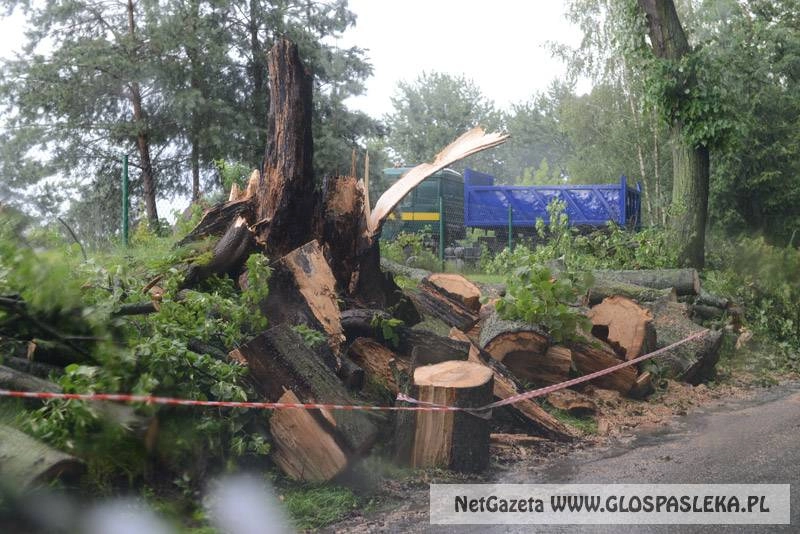 Niebezpiecznie nad drogą