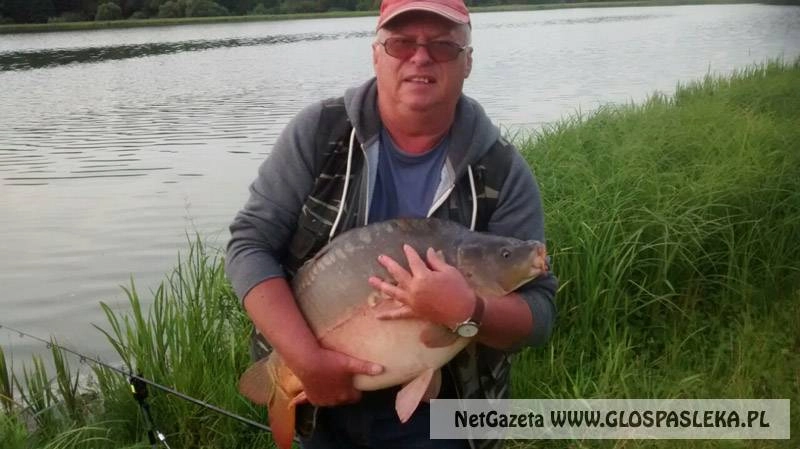 Kolejny karp pana Henryka