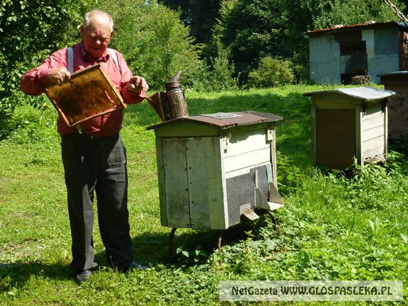 Pszczelarze na obchodach rocznicy nadania praw miejskich