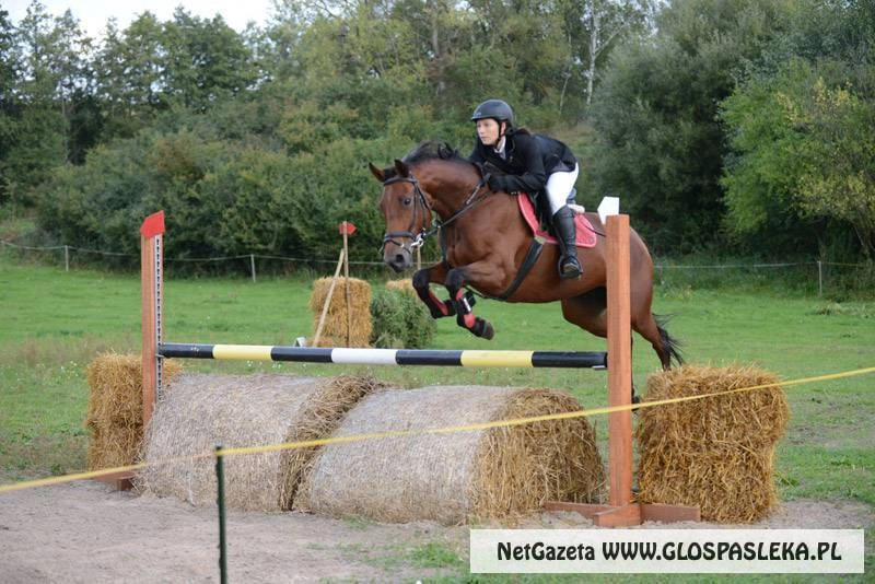 Zaproszenie na Derby