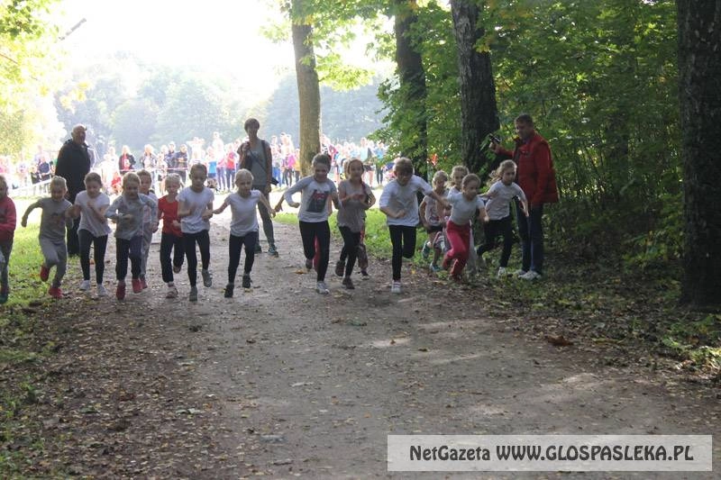 Powiatowe Biegi Przełajowe