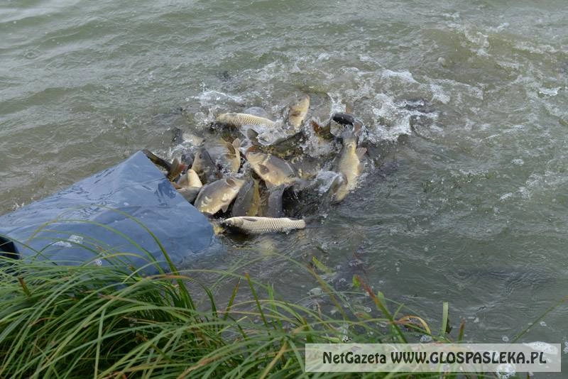 Zaproszenie na zawody wędkarskie