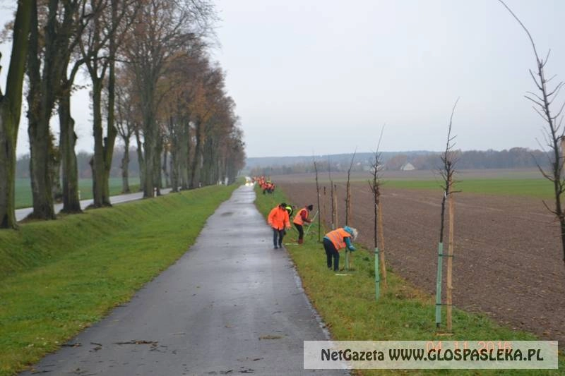 Zielona Droga w gminie Rychliki