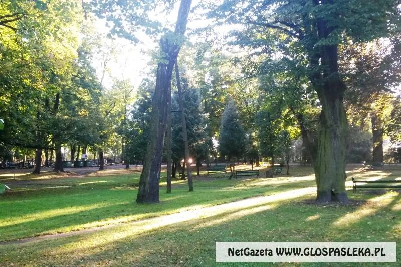 Budżet obywatelski - wybrano zadania do realizacji