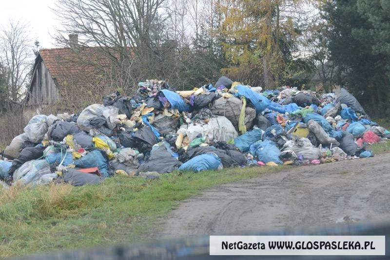 Straż Miejska wyjaśnia