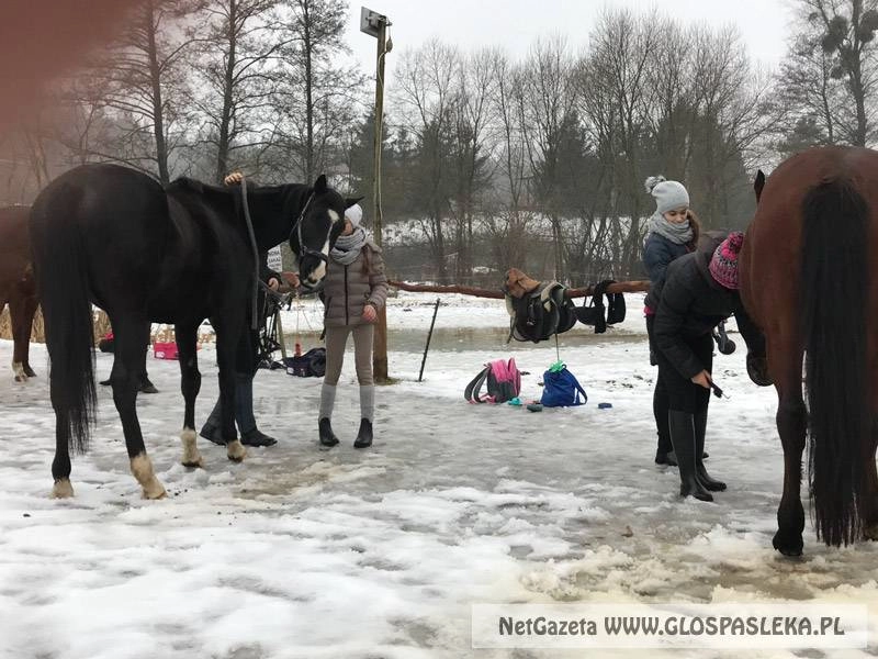 Przypominamy – Ferie z końmi