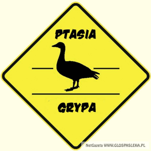 Ptasia grypa na Warmii