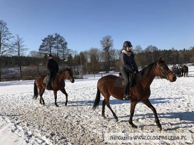 Nam zima niestraszna