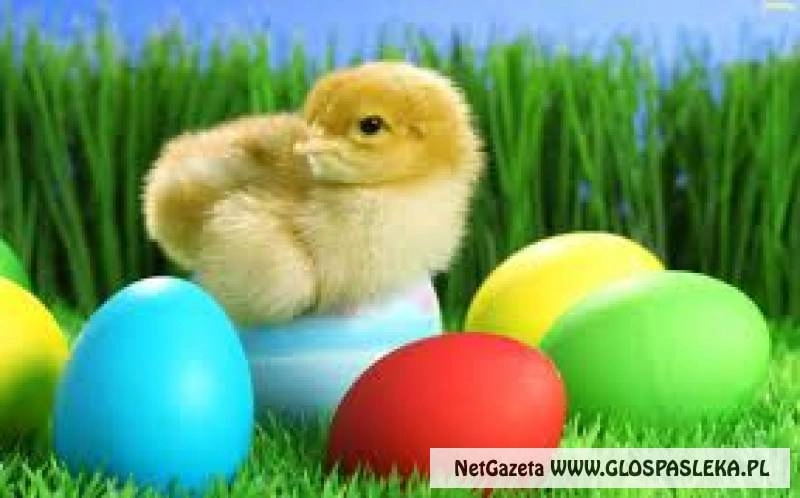 Konkurs wielkanocny