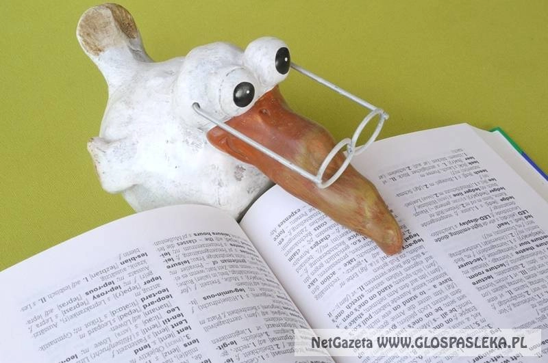 Nowoczesne systemy tłumaczeniowe - jak to wszystko działa?