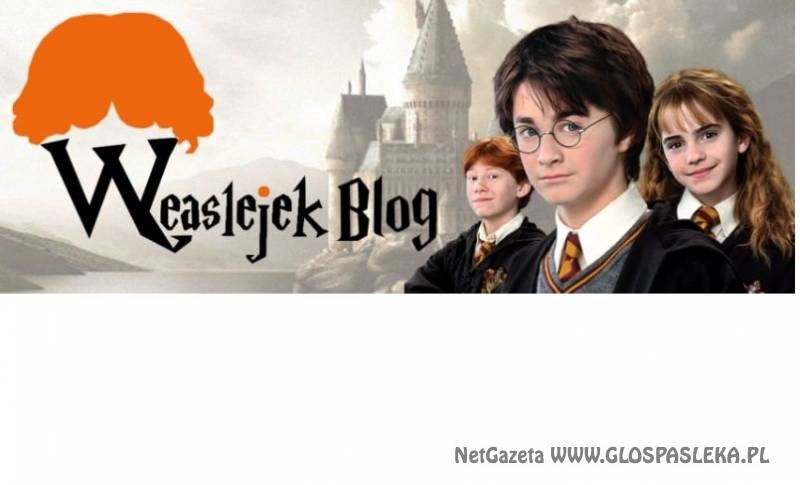 Kolejny sukces uczniów Gimnazjum w Dobrym