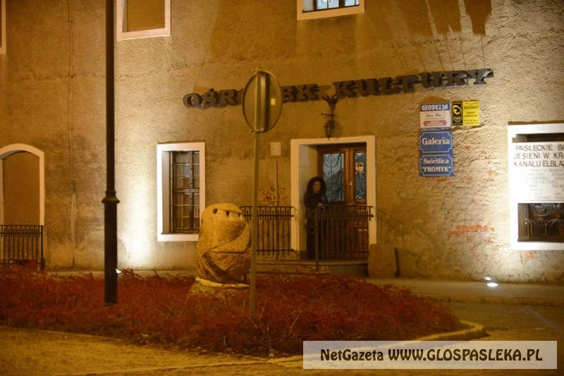 Pokot w kinie Zamkowym