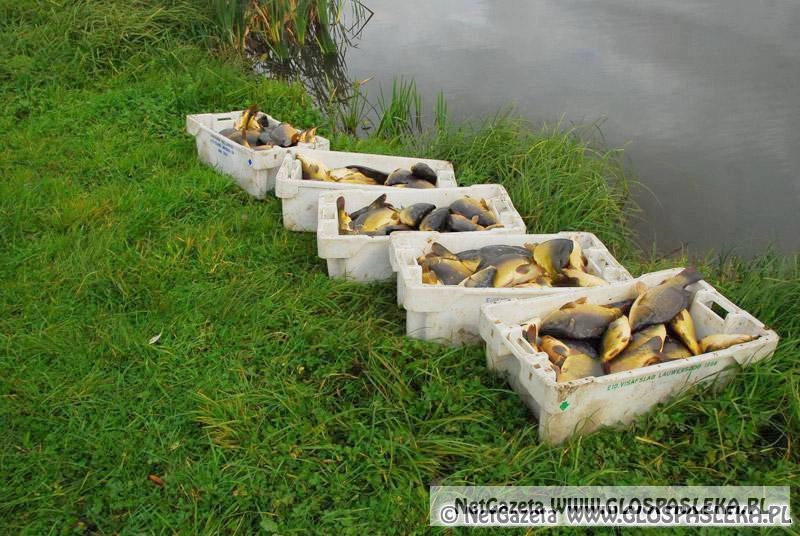 Zaproszenie na Grand Prix Zakrzewka II