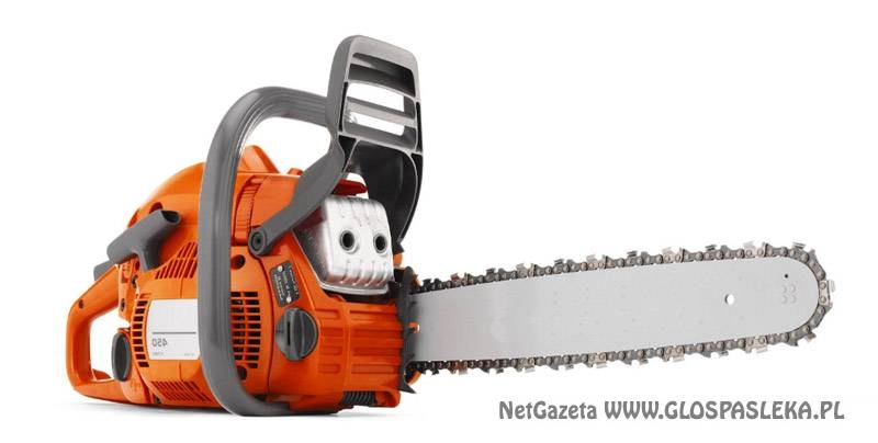 Nowe zasady wycinki drzew